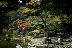 beautiful japanese garden