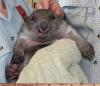 post-2-140967439951_thumb.jpg