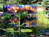 post-1796-140967453473_thumb.gif