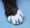 post-1407-140967423504_thumb.jpg