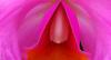 post-1796-140967429702_thumb.jpg