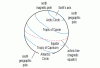 post-127-140967425387_thumb.gif