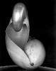 post-1796-140967431695_thumb.jpg