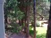 post-1796-140967458543_thumb.jpg