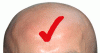 post-4001-140967451379_thumb.gif