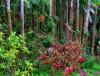 post-1796-140967445654_thumb.jpg