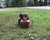 post-4001-140967446282_thumb.gif