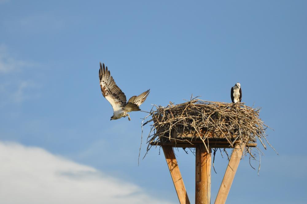 DSC_0059.JPG