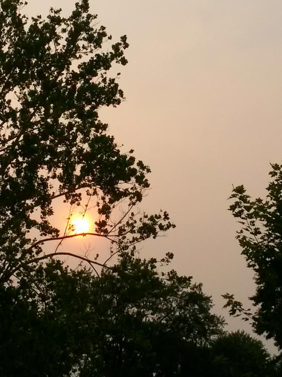 20150630_184440.png