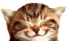 smileycat.jpg.1cde2f4d21fd528f6cd97c285a