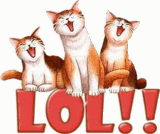 catslaughing.gif