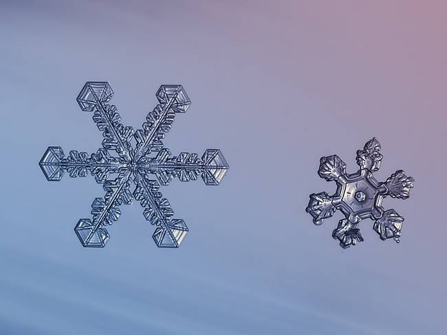 snow7.jpg.650x0_q70_crop-smart.jpg