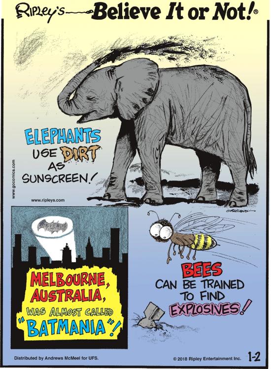 20180102_Cartoon.jpg