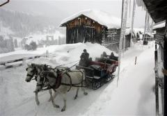 Horse drawn sleigh in Austria