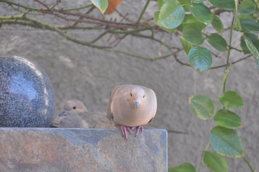 DSC_0761.JPG