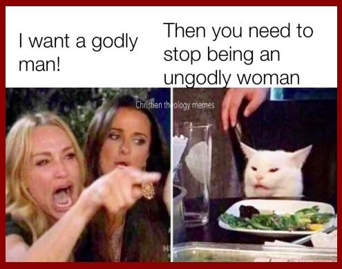 Invasion of the angry lady vs cat memes - Humor - ClubAdventist is back!