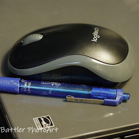 mouse4.jpg