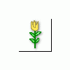 PheSLSDA